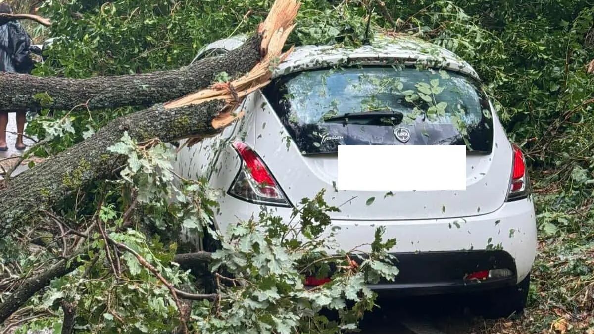 Raffiche oltre i 100 km/h, danni ingenti e paura tra i turisti: incubo in Italia (VIDEO)