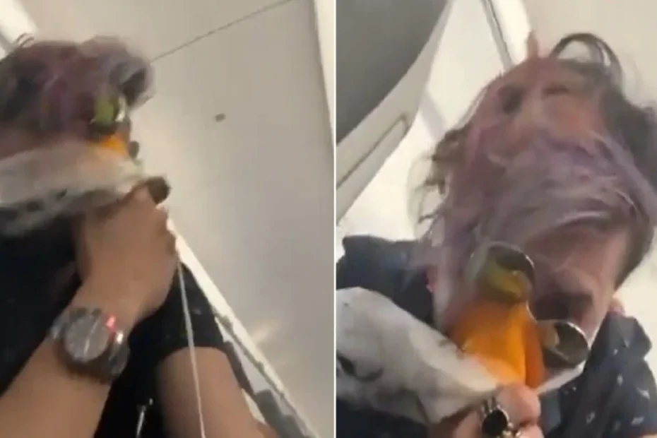aereo colpito uccello atterraggio emergenza
