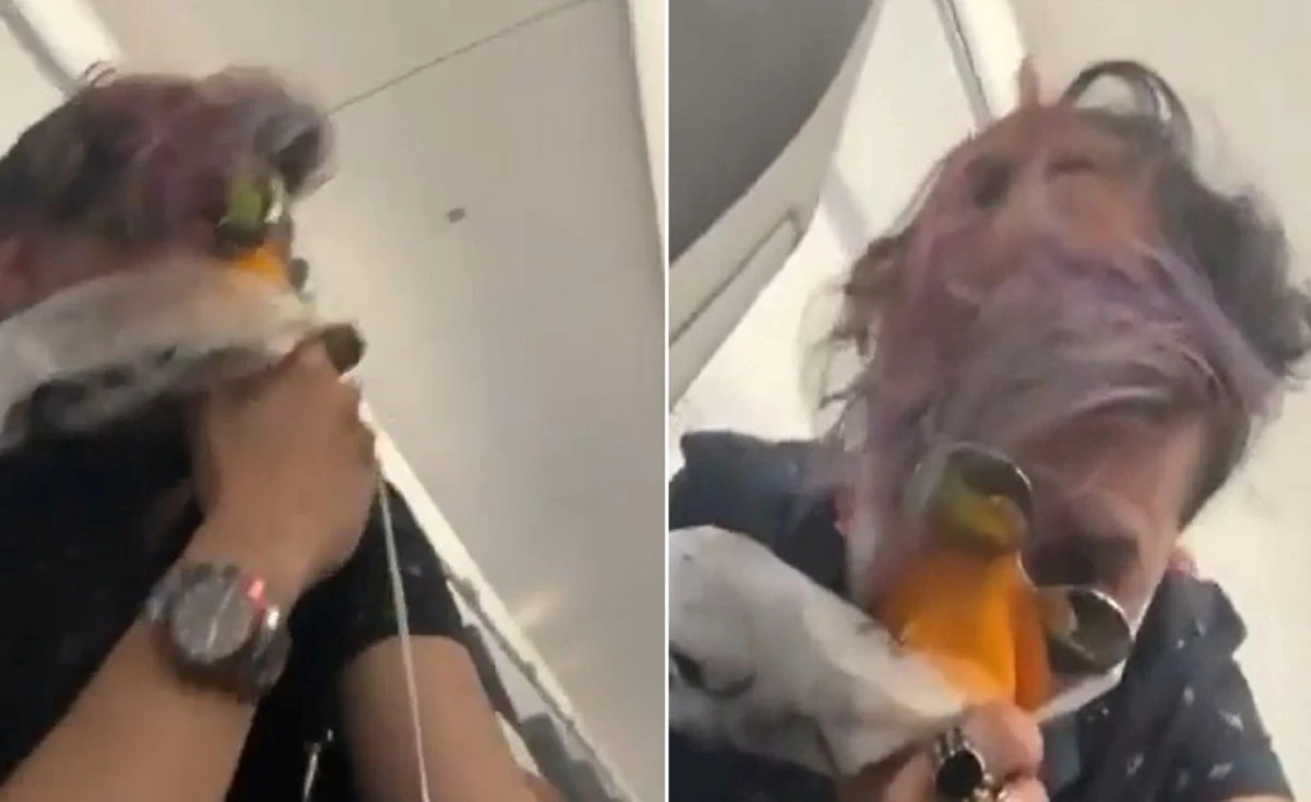 aereo costretto a un atterraggio d8217emergenza dopo un impatto con un uccello