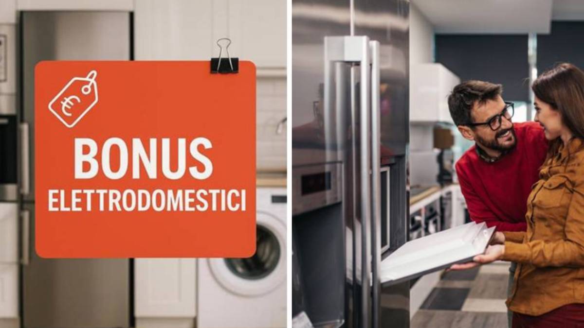 bonus elettrodomestici 2025