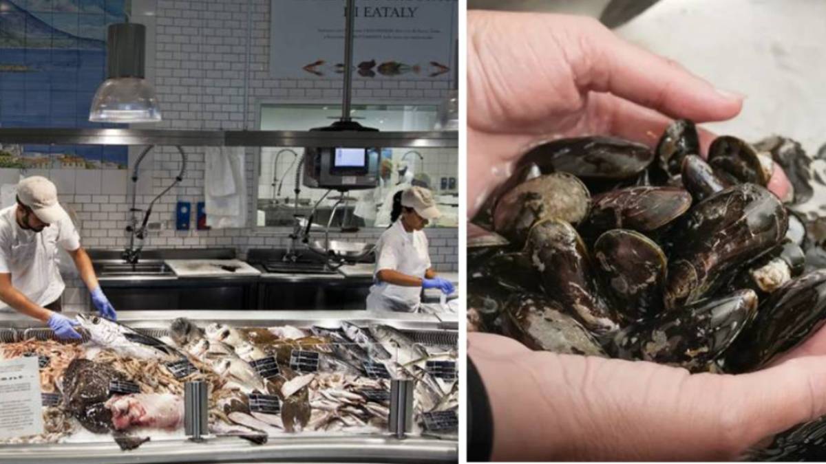 Calamari, cozze e vongole: i trucchi degli esperti per capire se sono davvero freschi Calamari, cozze e vongole: i trucchi degli esperti per capire se sono davvero freschi