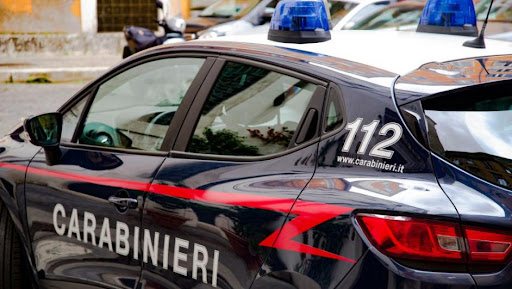 italia sgozza il cane per strada poi con il suo corpo8230 la scena agghiacciante scoperto cos236