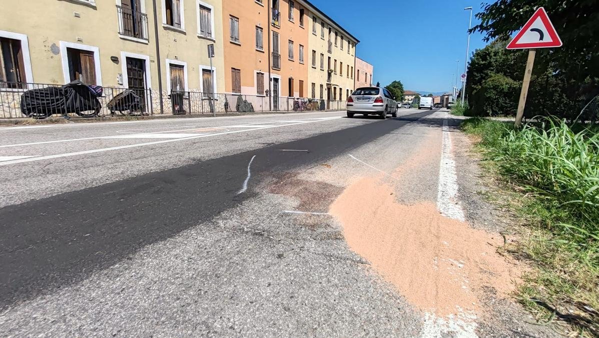 Italia. Travolta mentre porta a spasso il cane: cos’è successo a lei e al suo cucciolo Italia. Travolta mentre porta a spasso il cane: cos’è successo a lei e al suo cucciolo