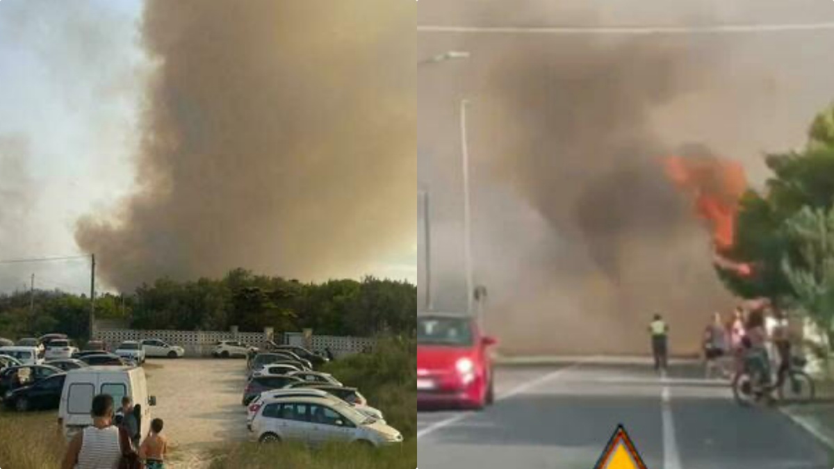 “Evacuate tutti!”. Incendio spaventoso tra spiagge e case, fiamme altissime: tutti in fuga “Evacuate tutti!”. Incendio spaventoso tra spiagge e case, fiamme altissime: tutti in fuga