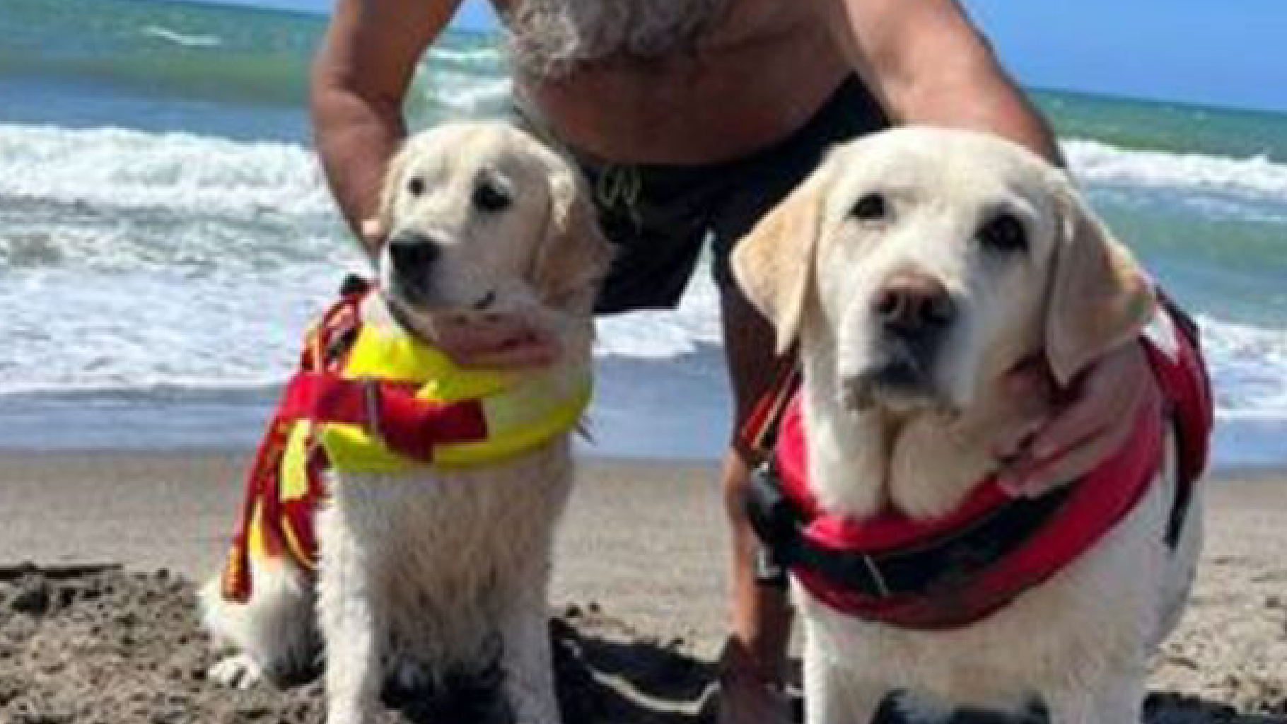 Italia, eroi a quattro zampe: Maia e Panna salvano un uomo in mare Italia, eroi a quattro zampe: Maia e Panna salvano un uomo in mare