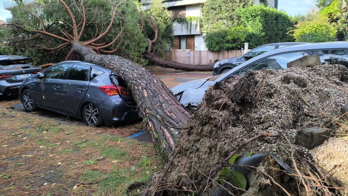 Violenta tromba d’aria devasta tutto: danni ingenti, strade chiuse e soccorsi in azione Violenta tromba d’aria devasta tutto: danni ingenti, strade chiuse e soccorsi in azione
