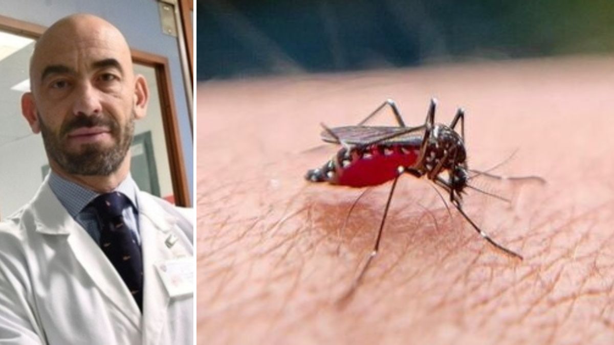 West Nile, è emergenza anziani in Italia: ci sono dei morti. Bassetti durissimo: “Non è finita” West Nile, è emergenza anziani in Italia: ci sono dei morti. Bassetti durissimo: “Non è finita”