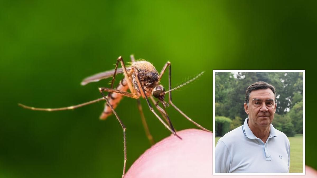 West Nile, un sindaco finisce all’ospedale, incubo in Veneto