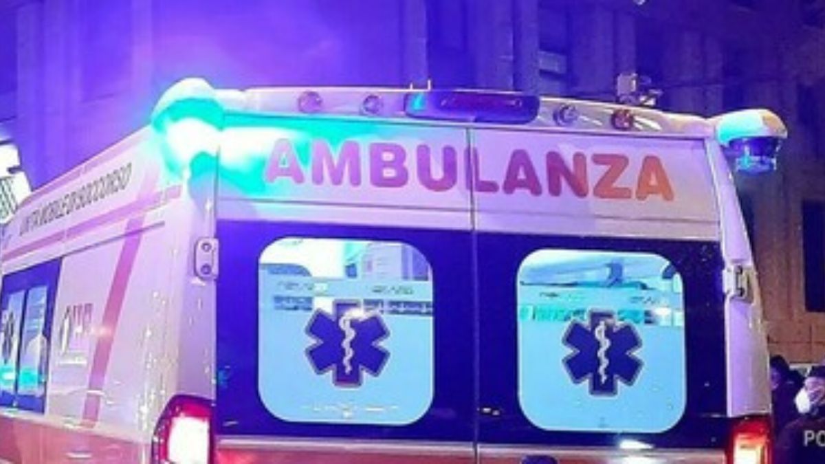 Pugnala fratellino collo forchetta