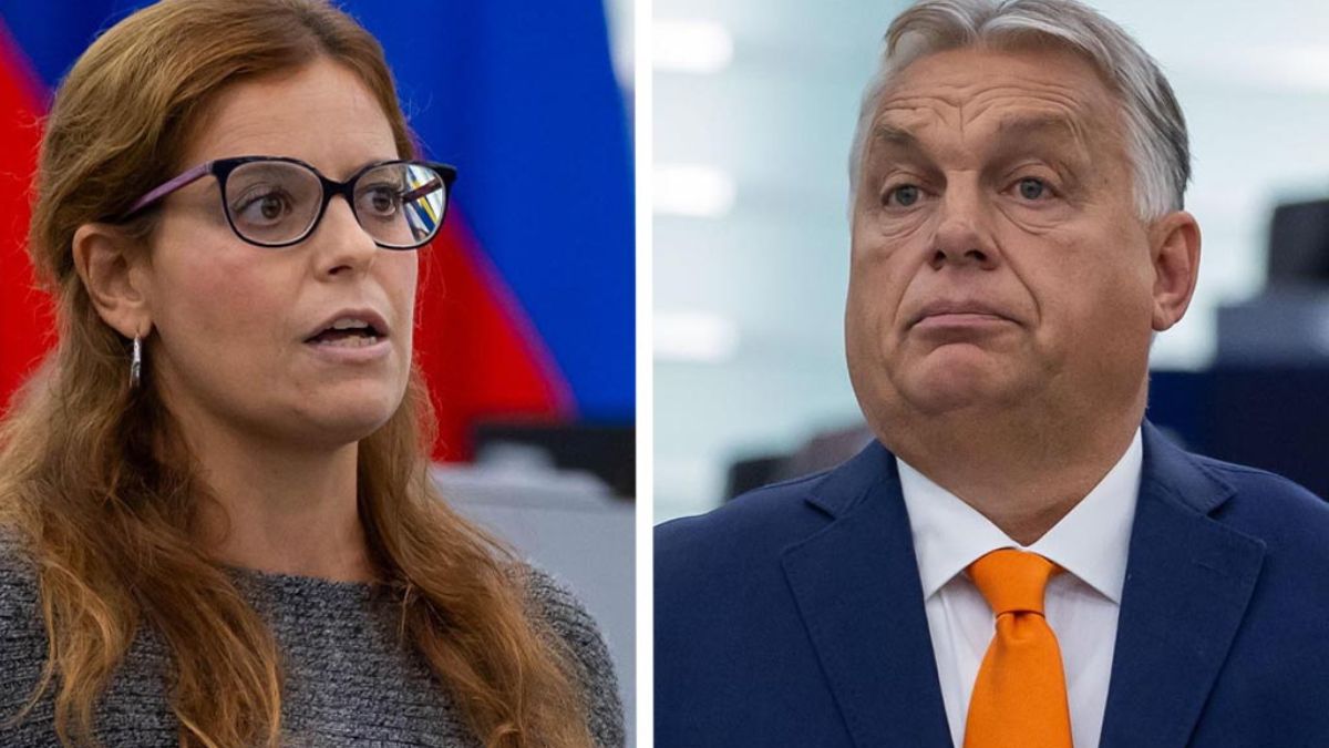 Ilaria Salis esulta voto