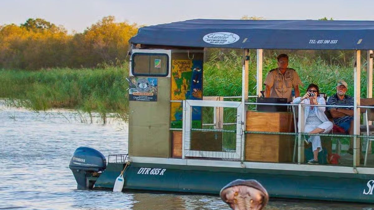 Ippopotamo attacca e capovolge una barca piena di persone: 11 annegati, anche bambini Ippopotamo attacca e capovolge una barca piena di persone: 11 annegati, anche bambini