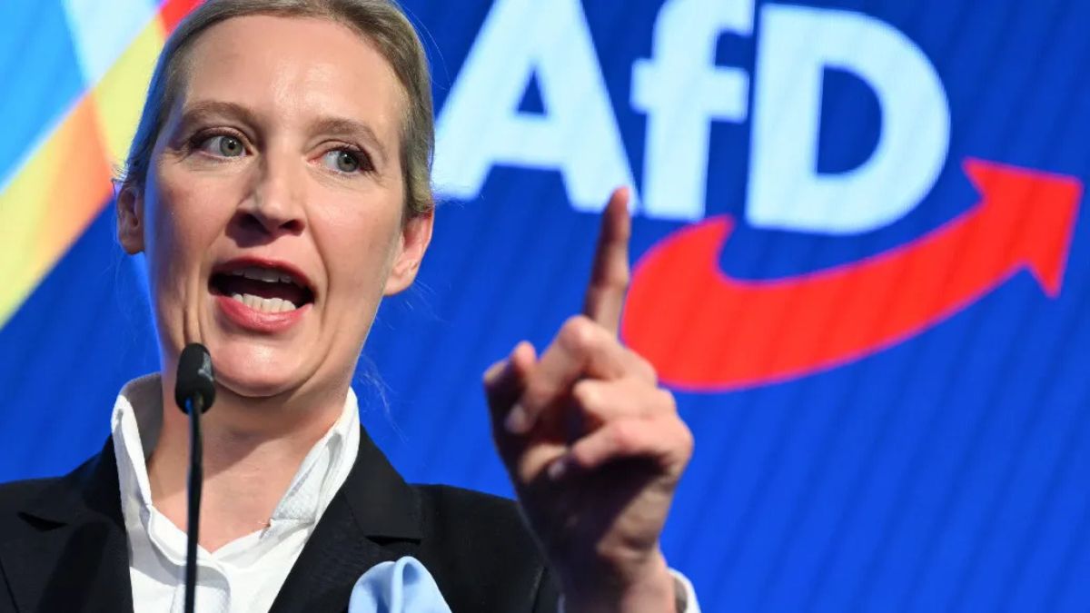 Germania candidati Afd morti