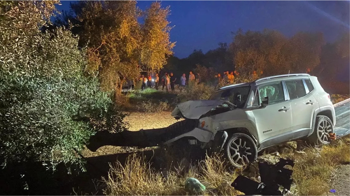 Incidente sulla provinciale di Bitonto, muore l’ex dg Asl Bari Domenico Colasanto Incidente sulla provinciale di Bitonto, muore l’ex dg Asl Bari Domenico Colasanto