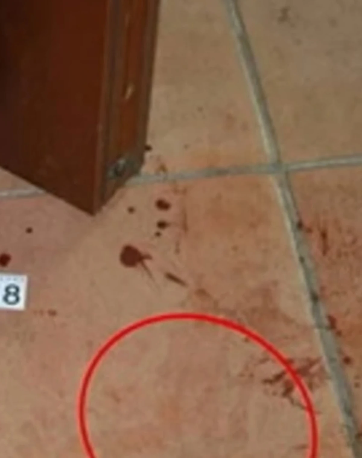 garlasco novitò foto impronta mano