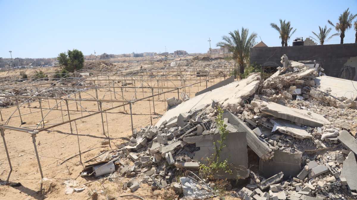 La FAO certifica “l’ecocidio”: ecco come Israele ha “affamato” Gaza per il prossimo decennio