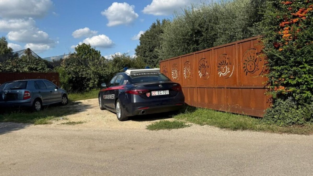 “Purtroppo è lui”. Italia, trovato morto così a soli 16 anni: cosa gli è successo “Purtroppo è lui”. Italia, trovato morto così a soli 16 anni: cosa gli è successo