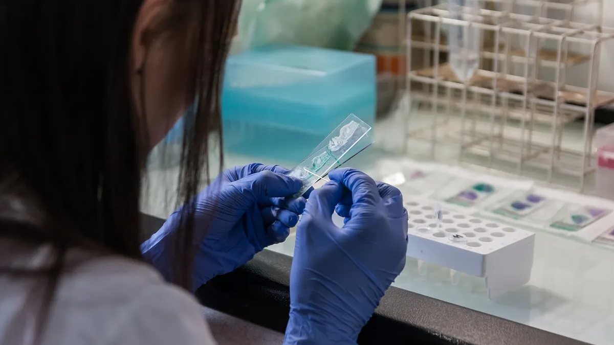 Influenza, isolati i primi casi in Italia: Pregliasco lancia l’allarme