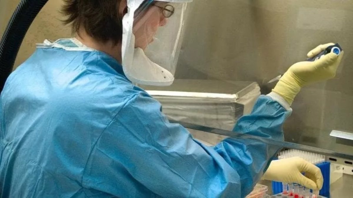 Allarme virus in Italia, boom di casi! Ospedali sotto pressione Allarme virus in Italia, boom di casi! Ospedali sotto pressione