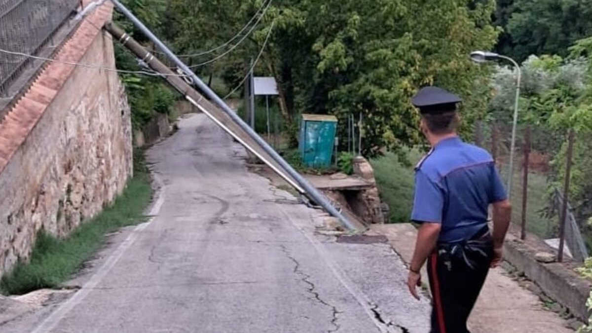 Maltempo in Italia, la terra si apre e inghiotte la strada. Cade una quercia secolare