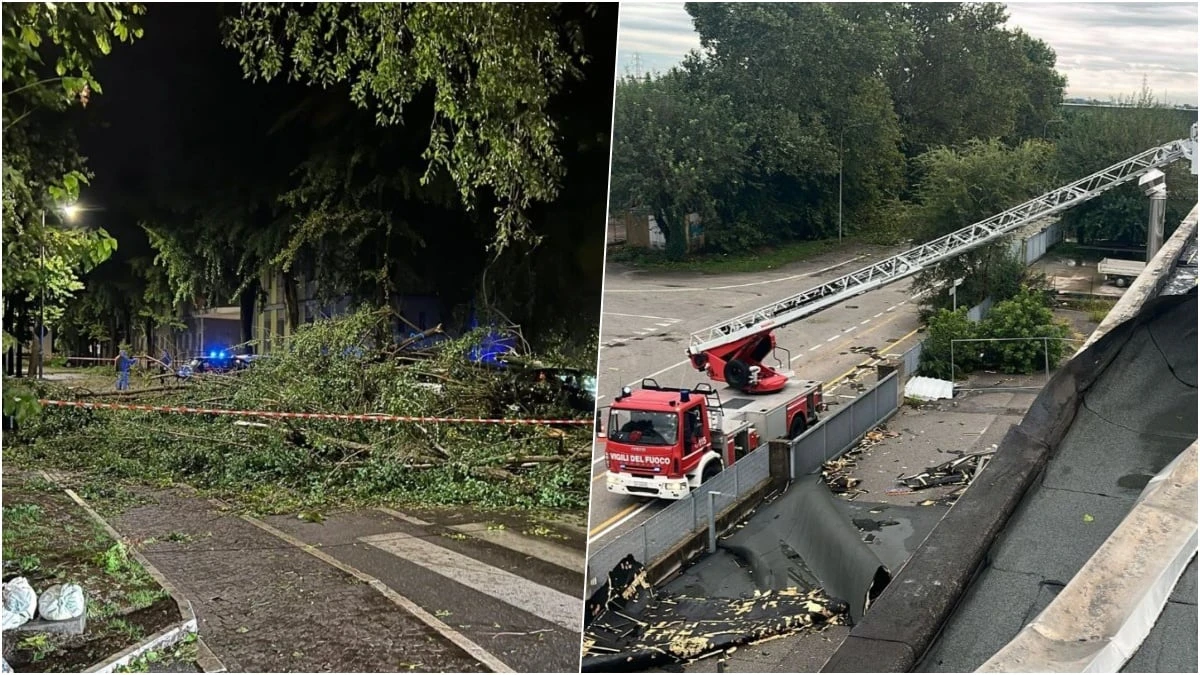 Maltempo Italia: alberi abbattuti e vetri “scoppiati” per la furia del vento Maltempo Italia: alberi abbattuti e vetri “scoppiati” per la furia del vento