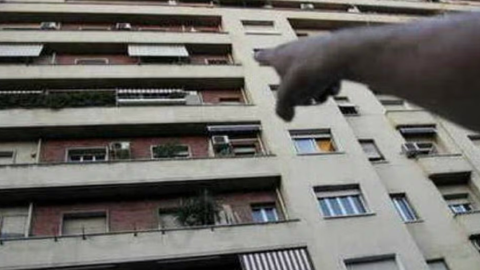 Italia, uomo si lancia dal quarto piano ma colpisce in pieno una passante: incredibile tragedia Italia, uomo si lancia dal quarto piano ma colpisce in pieno una passante: incredibile tragedia