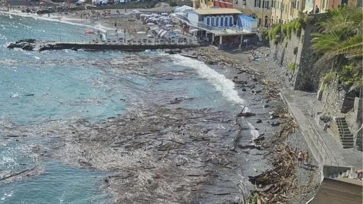 Mare ingombro di legname, emergenza sulle spiagge italiane: cosa succede Mare ingombro di legname, emergenza sulle spiagge italiane: cosa succede