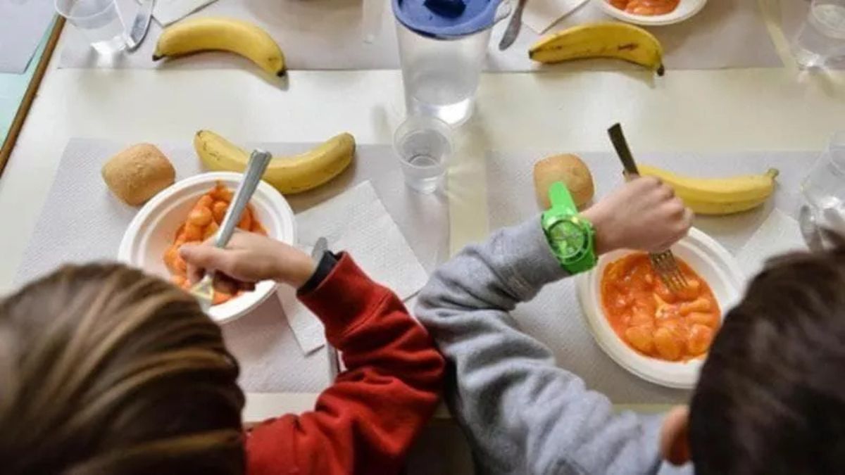 “Era lì, nella pasta”. Orrore a mensa in Italia: la terribile scoperta nel piatto dei bambini “Era lì, nella pasta”. Orrore a mensa in Italia: la terribile scoperta nel piatto dei bambini