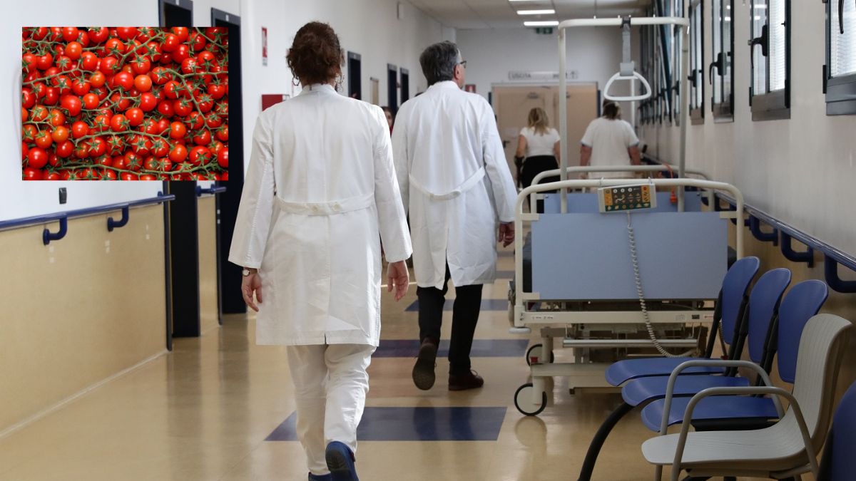 salmonella pomodori focolaio Europa