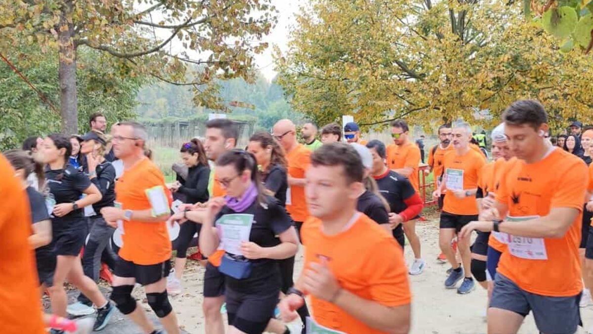 Sciame calabroni attacca maratoneti