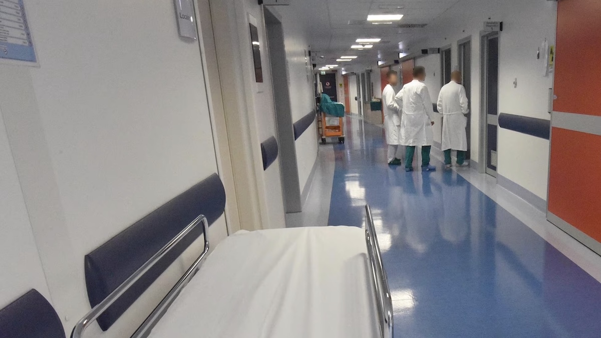 “Fate come col covid”. Italia, epidemia influenzale ‘molto aggressiva’ in arrivo: parlano i medici “Fate come col covid”. Italia, epidemia influenzale ‘molto aggressiva’ in arrivo: parlano i medici