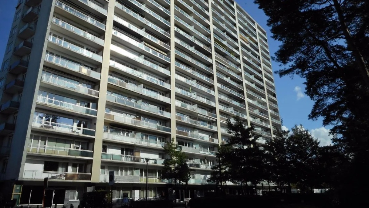 ascensore precipita finale sorpresa