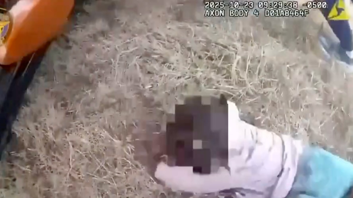 Bimbo intrappolato sotto un’auto ribaltata: i poliziotti lo salvano con gesto eroico Bimbo intrappolato sotto un’auto ribaltata: i poliziotti lo salvano con gesto eroico