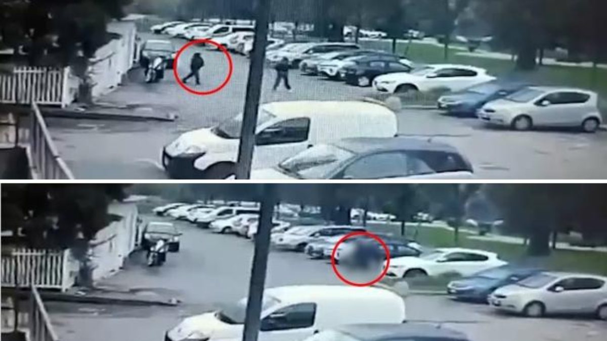 Il video che mostra Luciana Ronchi mentre viene uccisa: la fuga disperata, poi quelle immagini. Atroce Il video che mostra Luciana Ronchi mentre viene uccisa: la fuga disperata, poi quelle immagini. Atroce