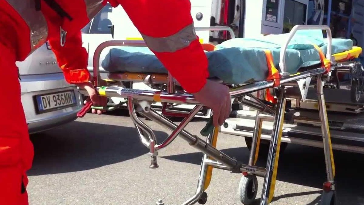 auto si scontra con un animale muore deputato politica sotto shock