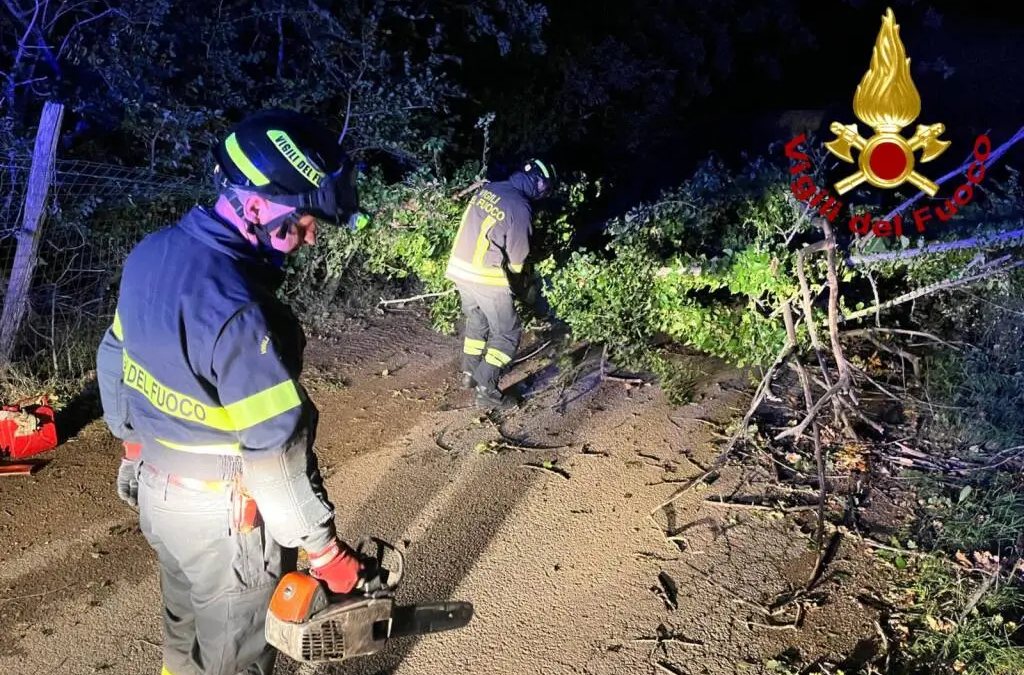 “Sembrava un uragano”. Maltempo in Italia, alberi crollati e strade bloccate: necessario l’intervento dei soccorsi “Sembrava un uragano”. Maltempo in Italia, alberi crollati e strade bloccate: necessario l’intervento dei soccorsi