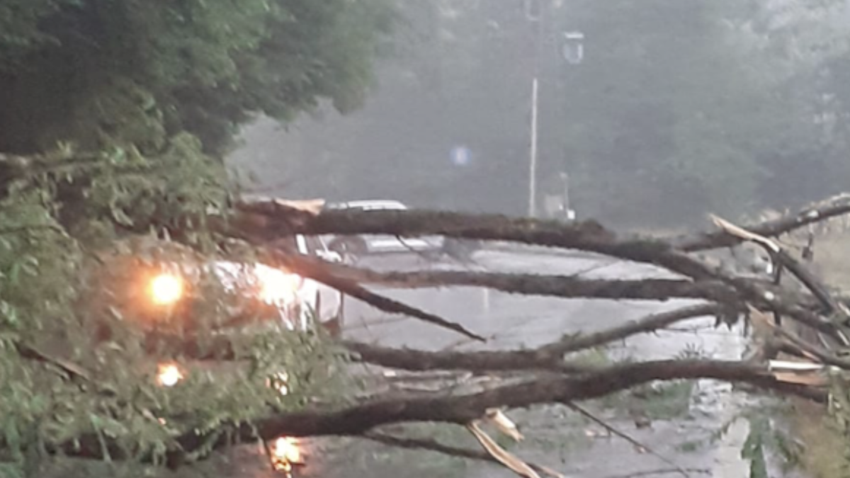 Tempesta Amy, venti devastanti su tutta Italia: allerta gialla in diverse regioni