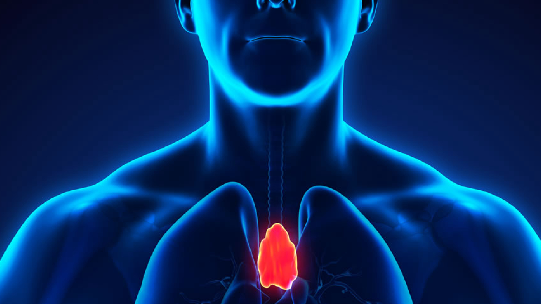 L’organo nascosto che cambia il modo di curare i tumori: la scoperta rivoluzionaria L’organo nascosto che cambia il modo di curare i tumori: la scoperta rivoluzionaria