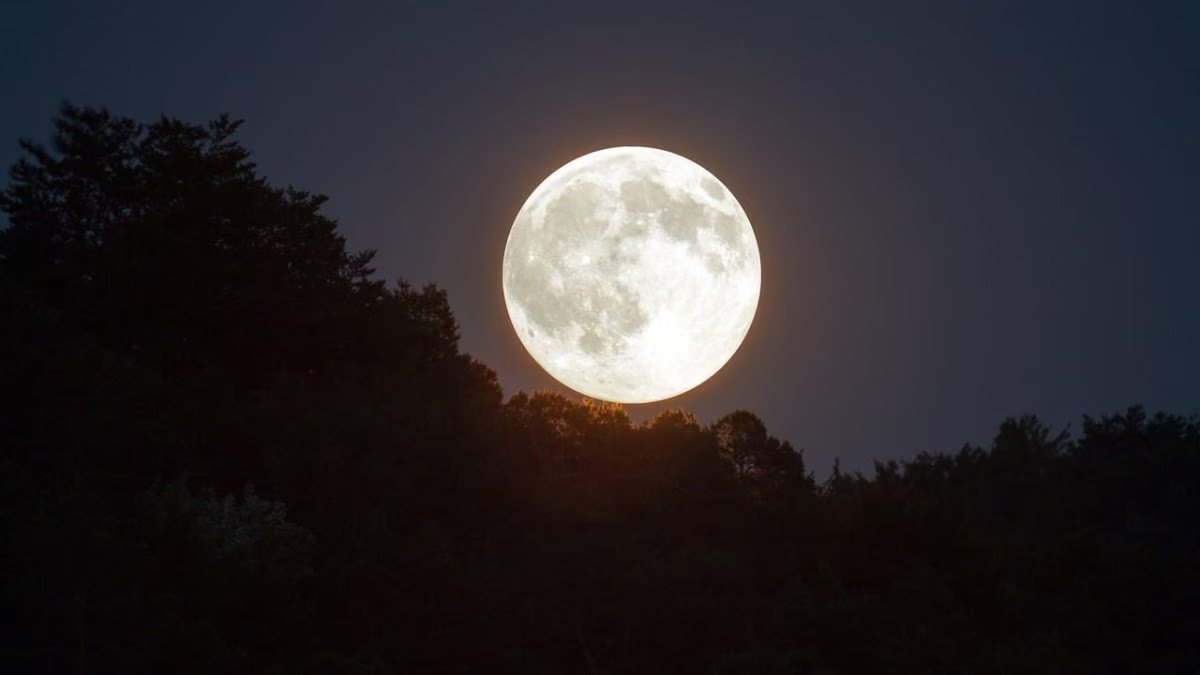 Superluna del Castoro 2025, la più grande dell’anno: quando e come vederla Superluna del Castoro 2025, la più grande dell’anno: quando e come vederla
