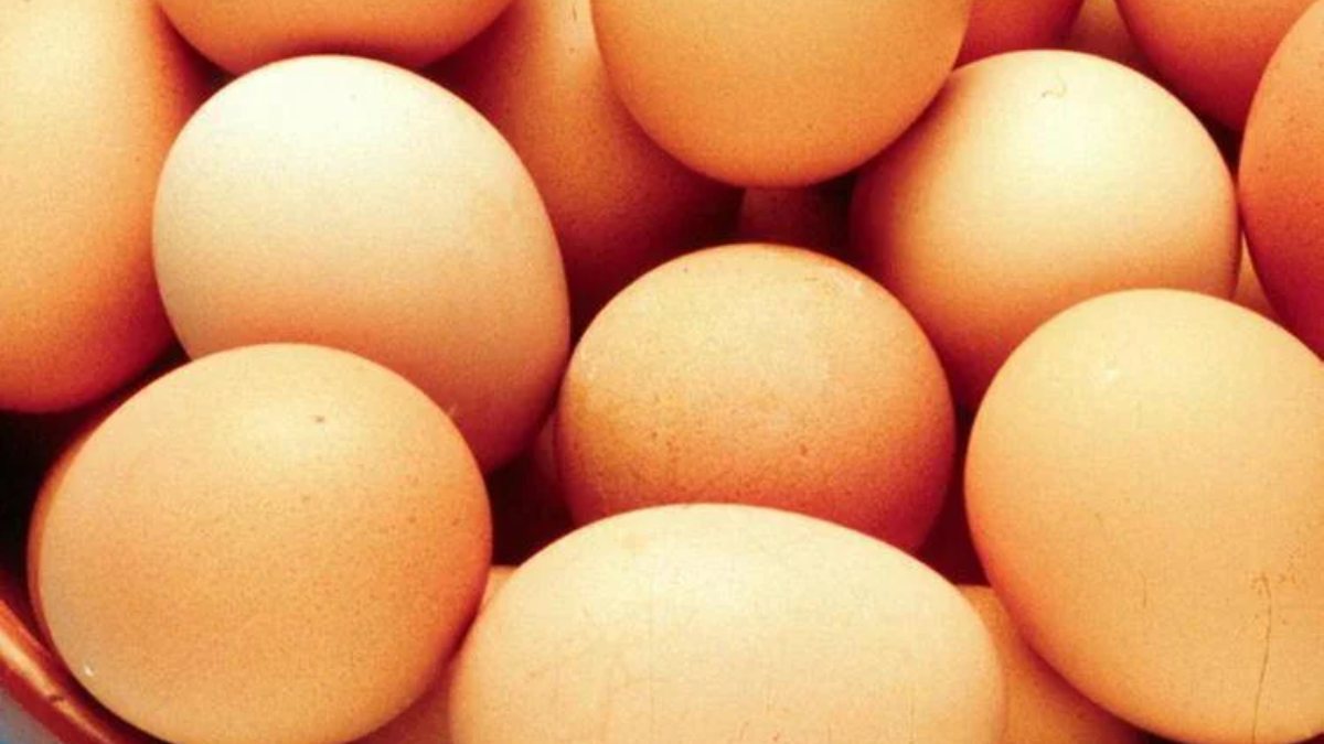 “Non consumatele!”. Uova pericolose ritirate in tutta Italia. Rischio altissimo