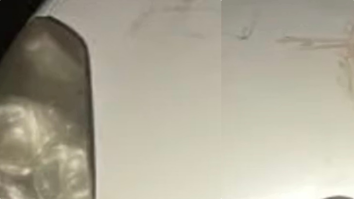 “Quei simboli lì”. Sangue umano sui muri e sulle auto: la città si sveglia in un incubo “Quei simboli lì”. Sangue umano sui muri e sulle auto: la città si sveglia in un incubo