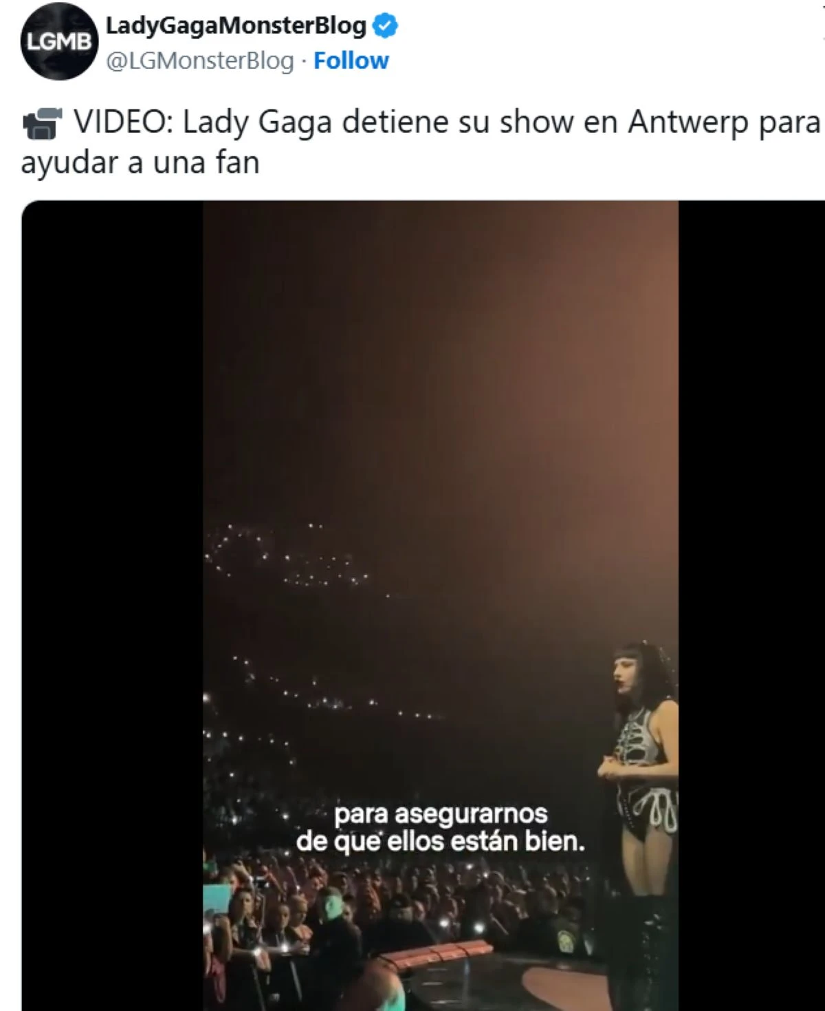 Fan soccorso durante un concerto di Lady Gaga