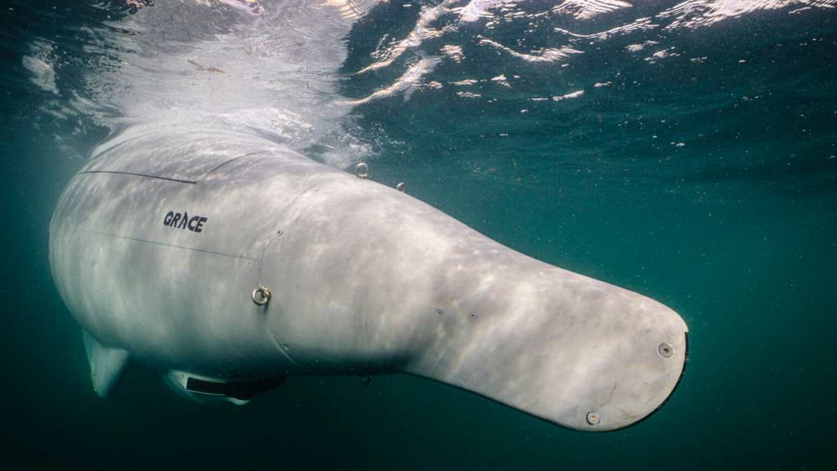 Guerra dei droni, l’Europa ora investe sui sottomarini: rivelato il primo