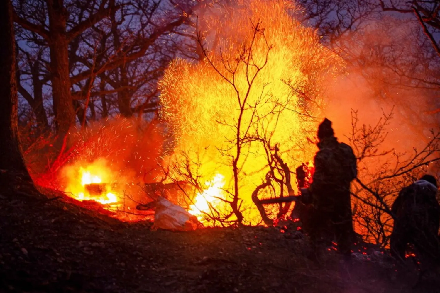 Incendio in Iran, una foresta Unesco divorata dalle fiamme