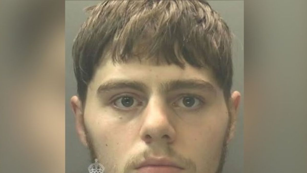 Adolescente massacra la fidanzata, poi se la prende con il suo gatto: orrore puro