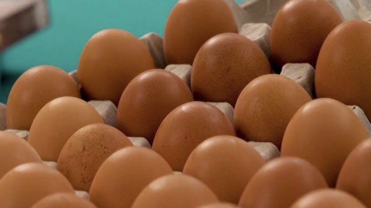 Emergenza Italia, si allarga il richiamo per le uova: “Non mangiatele, restituitele”. Ecco quali