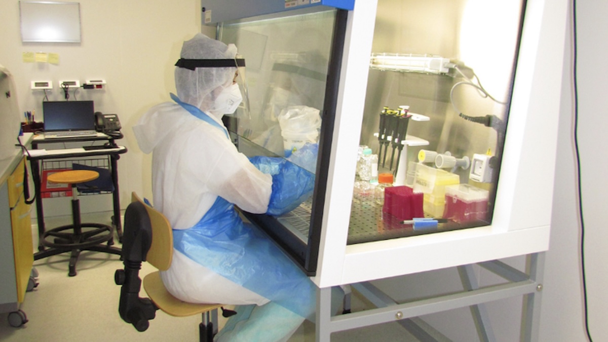 Influenza aviaria, il sistema italiano FluWarning fiuta mutazioni sospette prima che esplodano i focolai