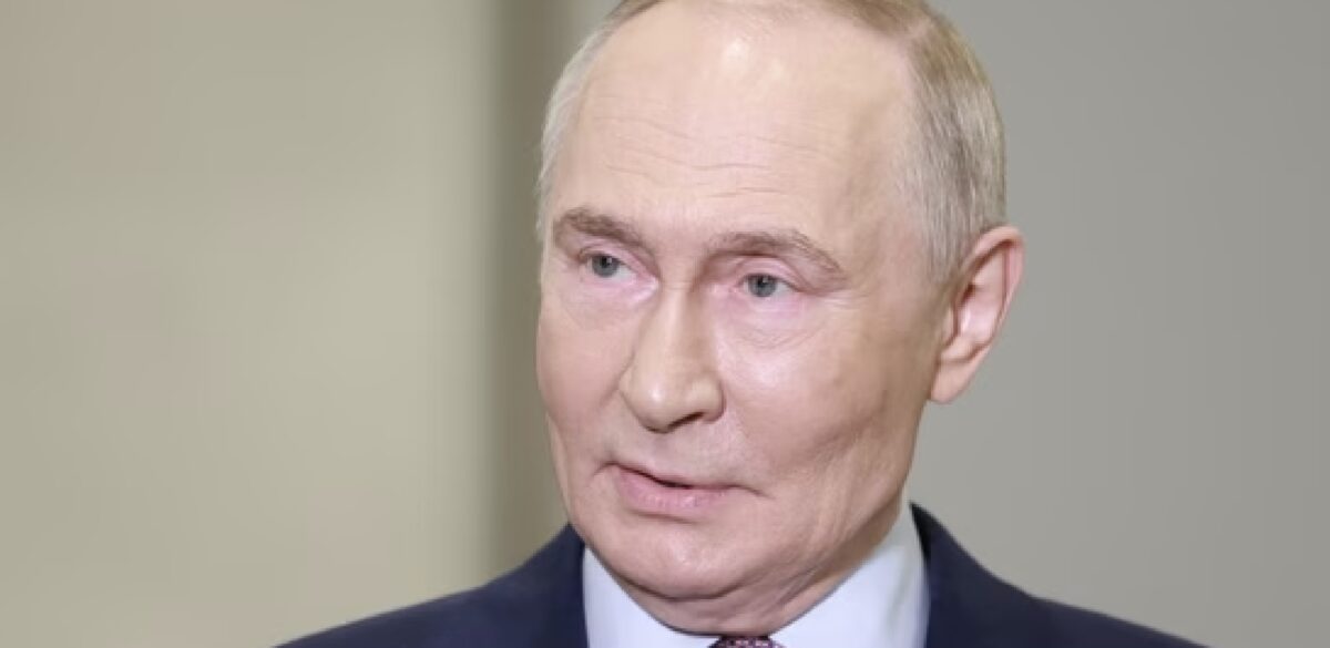 Russia, arrivano i piccioni dotati di chip cerebrale per la sorveglianza urbana