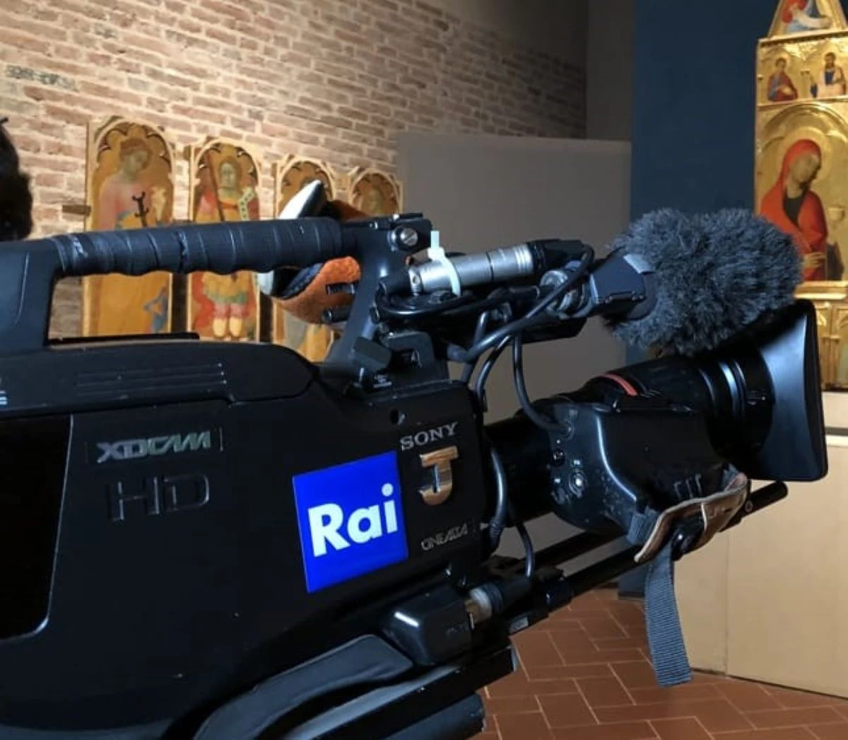 Programma Rai Cancellato