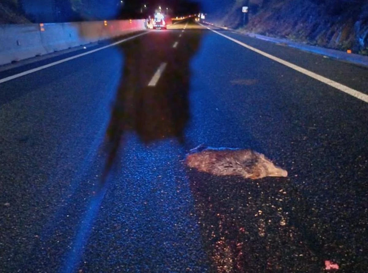 Incidente sulla Sassari–Olbia, soccorsi sul posto