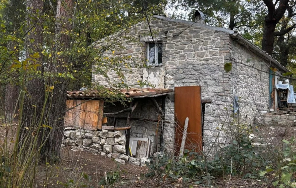 Veduta del bosco dove viveva la famiglia